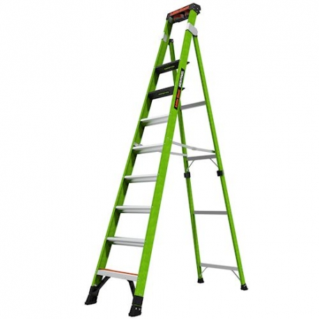 ESCADA SENTINEL 10' MODEL - LITTLE GIANT