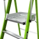 ESCADA SAFETY CAGE 4' MODEL - LITTLE GIANT